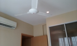 Palm Loft (D15), Apartment #162305282